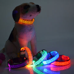 Rechargeable LED Dog Band
